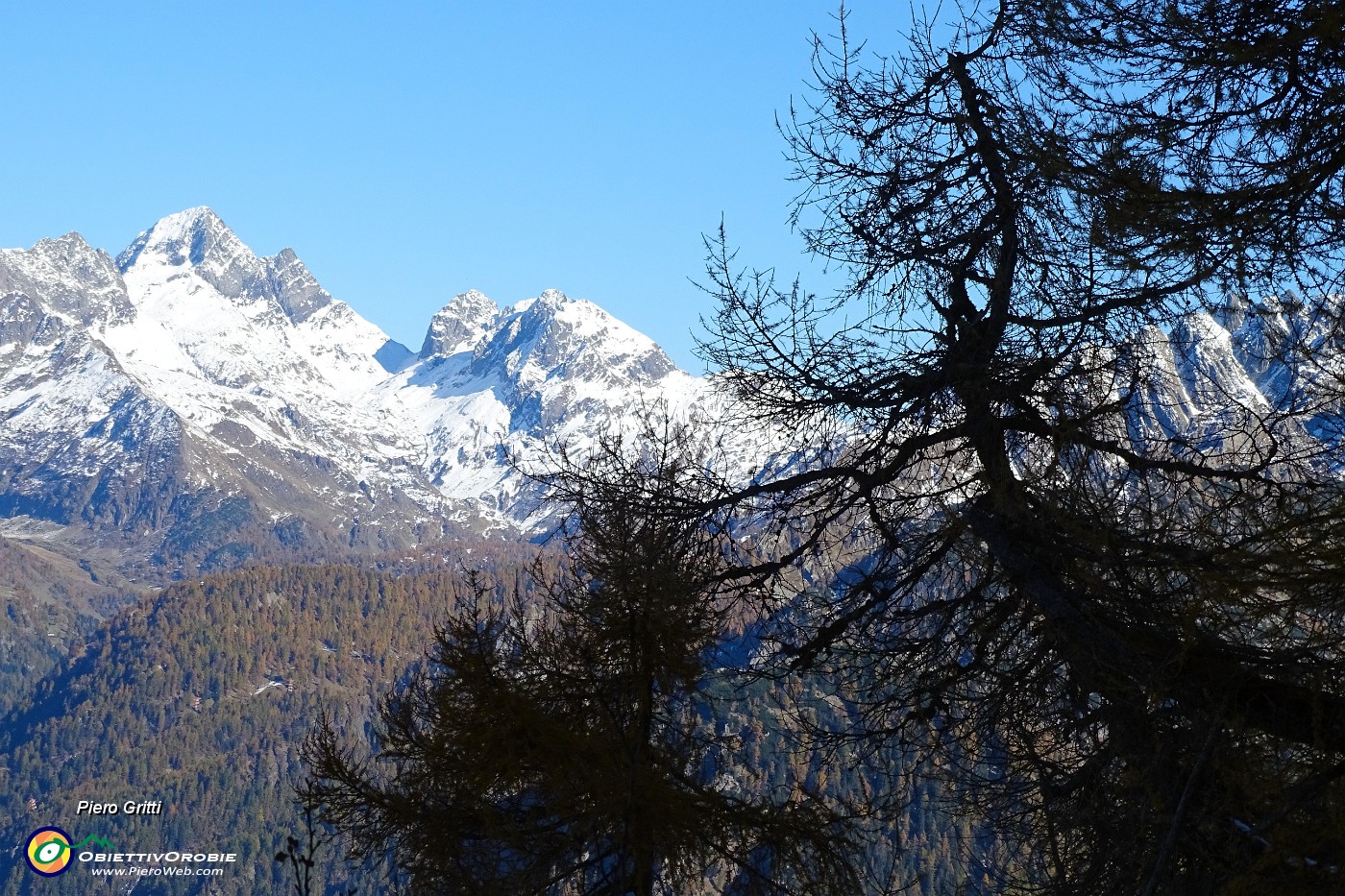 61 Scorcio sui Diavoli da larici secolari.JPG -                                